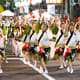 Awa Odori, Tokushima